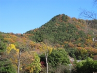信夫山@美術館.jpg