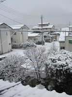 積雪.jpg