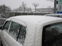 積雪1時間.jpg