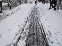 雪の散歩道.jpg