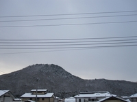 朝の信夫山C20-0811
