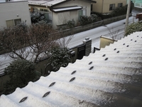 朝の雪.jpg