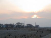 松川の白鳥夕暮れ.jpg