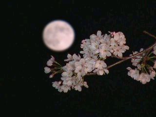 月と満月.jpg