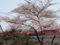 信夫山頭上.jpg