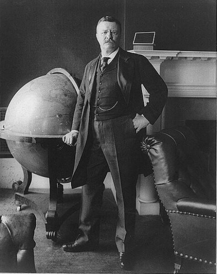 Teddy_Roosevelt_portrait.png