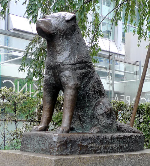 渋谷駅前の忠犬ハチ公像 - 無料写真検索fotoq 渋谷駅前の忠犬ハチ公像 - 無料写真検索fotoq