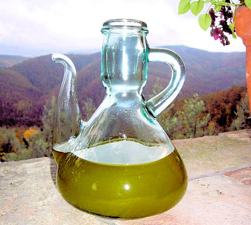 olio novello 2006 - 無料写真検索fotoq