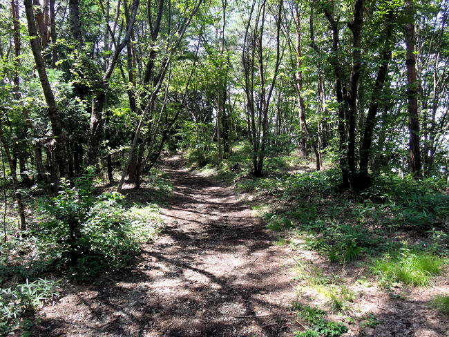 福島市・信夫山(しのぶやま)の烏ヶ崎展望デッキ(道標から左に整備された山道を登る) 福島市・信夫山(しのぶやま)の烏ヶ崎展望デッキ(道標から左に整備された山道を登る)